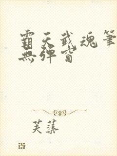 霸天武魂笔趣阁无弹窗