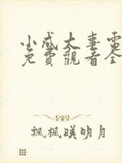 小成大事电视剧免费观看全集高清