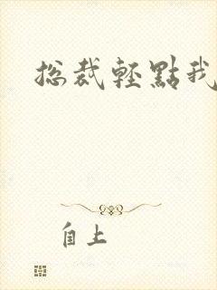 总裁轻点我怕疼