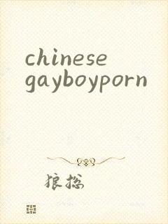 chinesegayboyporn
