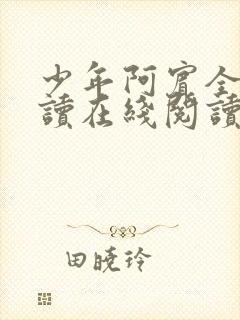 少年阿宾全文阅读在线阅读全文封面