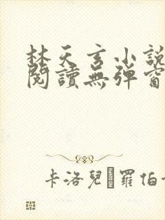 林天玄小说免费阅读无弹窗