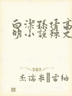 白洁孙倩高义李明小说辣文