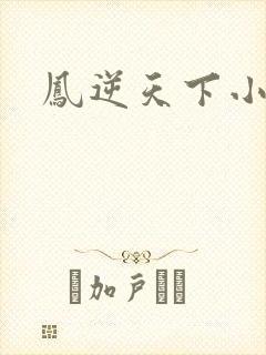 凤逆天下小说