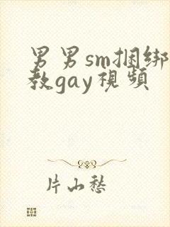 男男sm捆绑调教gay视频