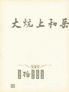 大炕上和岳偷倩封面