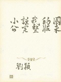 小说我的国民老公完整版未删减小说