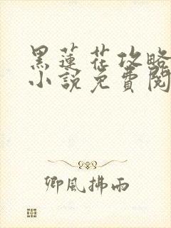 黑莲花攻略手册小说免费阅读