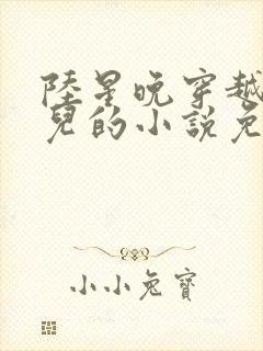 陆星晚穿越成婴儿的小说免费阅读全文