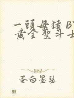 一头母猪 BY 黄金圣斗士