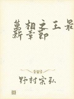 万相之王最快更新章节