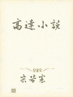 高达小说封面