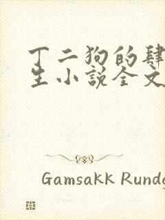 丁二狗的肆意人生小说全文