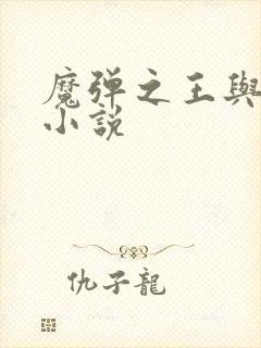 魔弹之王与战姬小说