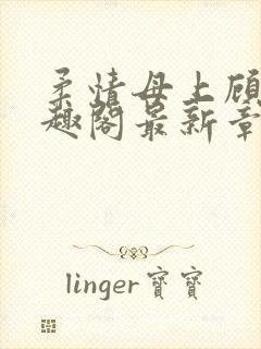 柔情母上顾为笔趣阁最新章节