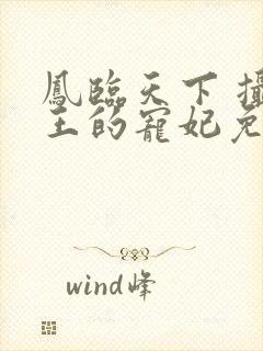 凤临天下 摄政王的宠妃免费阅读