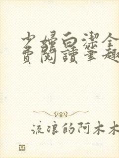 少妇白洁全文免费阅读笔趣阁