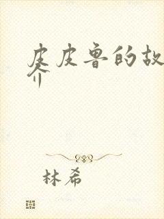 皮皮鲁的故事简介封面