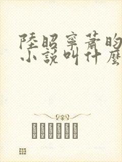 陆昭宁萧昀正版小说叫什么名字封面