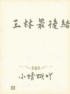 王林最后结局