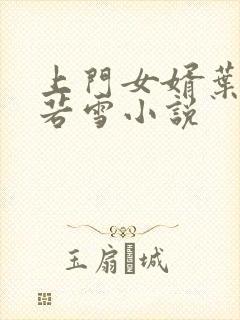 上门女婿叶凡唐若雪小说封面