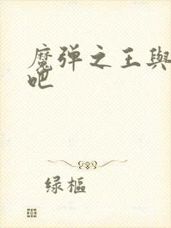 魔弹之王与战姬吧