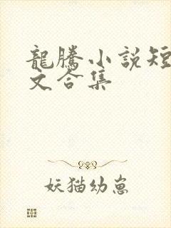 龙腾小说短篇辣文合集