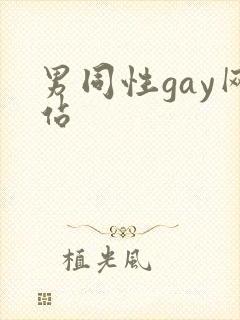 男同性gay网站