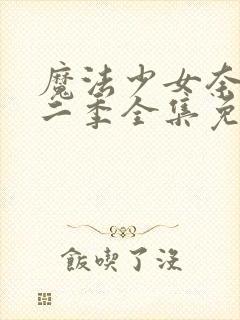 魔法少女奈叶第二季全集免费观看