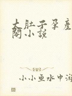 大肚子孕产笔趣阁小说