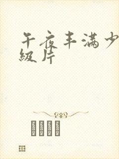 午夜丰满少妇一级片