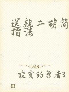 送亲二胡简谱带指法封面