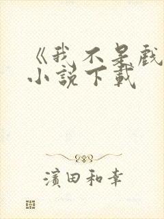 《我不是戏神》小说下载