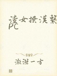 渣女撩汉系统NPC