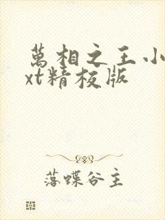 万相之王小说txt精校版