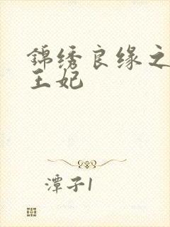 锦绣良缘之北地王妃