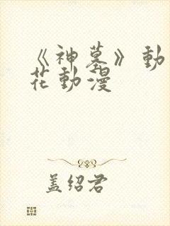 《神墓》动漫樱花动漫