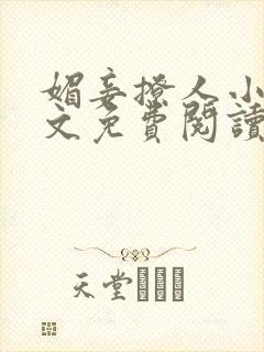 媚妾撩人小说全文免费阅读