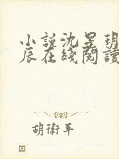 小说沈星玥裴亦辰在线阅读