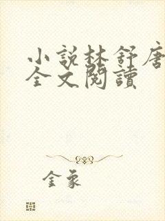 小说林舒唐亦琛全文阅读