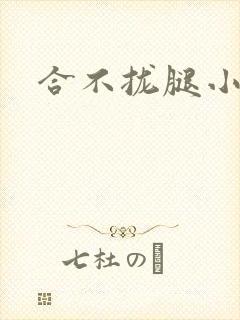 合不拢腿小说