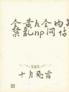 全黄h全肉短篇禁乱np网站