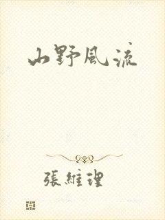 山野风流封面