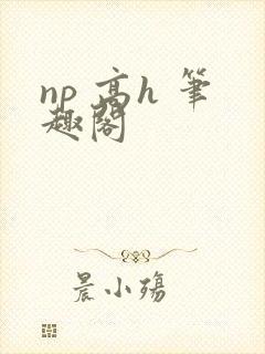 np 高h 笔趣阁