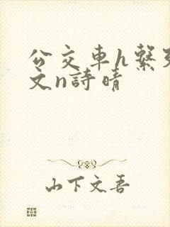 公交车h系列辣文n诗晴