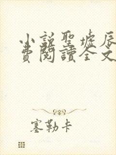 小说圣墟辰东免费阅读全文