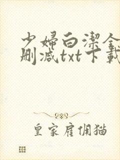 少妇白洁全文无删减txt下载封面
