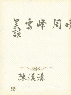 吴云峰 周晴小说