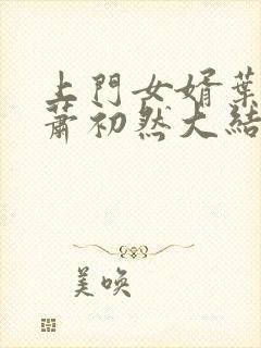 上门女婿叶辰和萧初然大结局封面