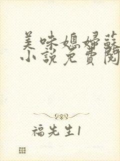 美味媳妇苏晴雪小说免费阅读无弹窗